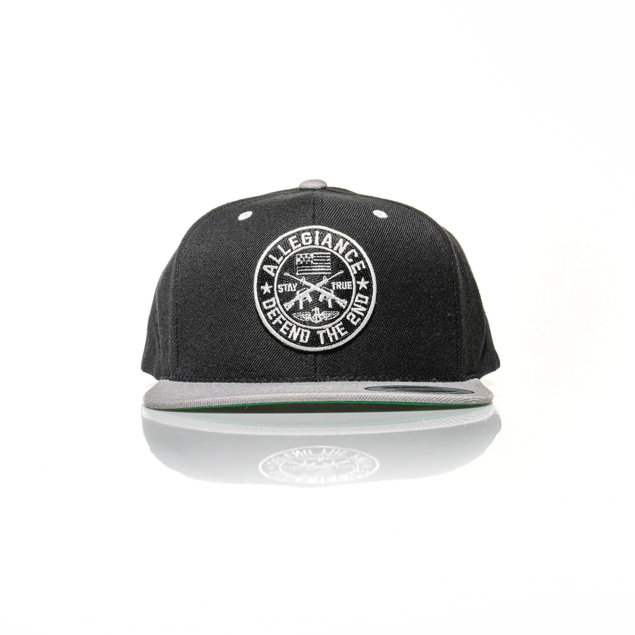 Defend the 2nd Snapback