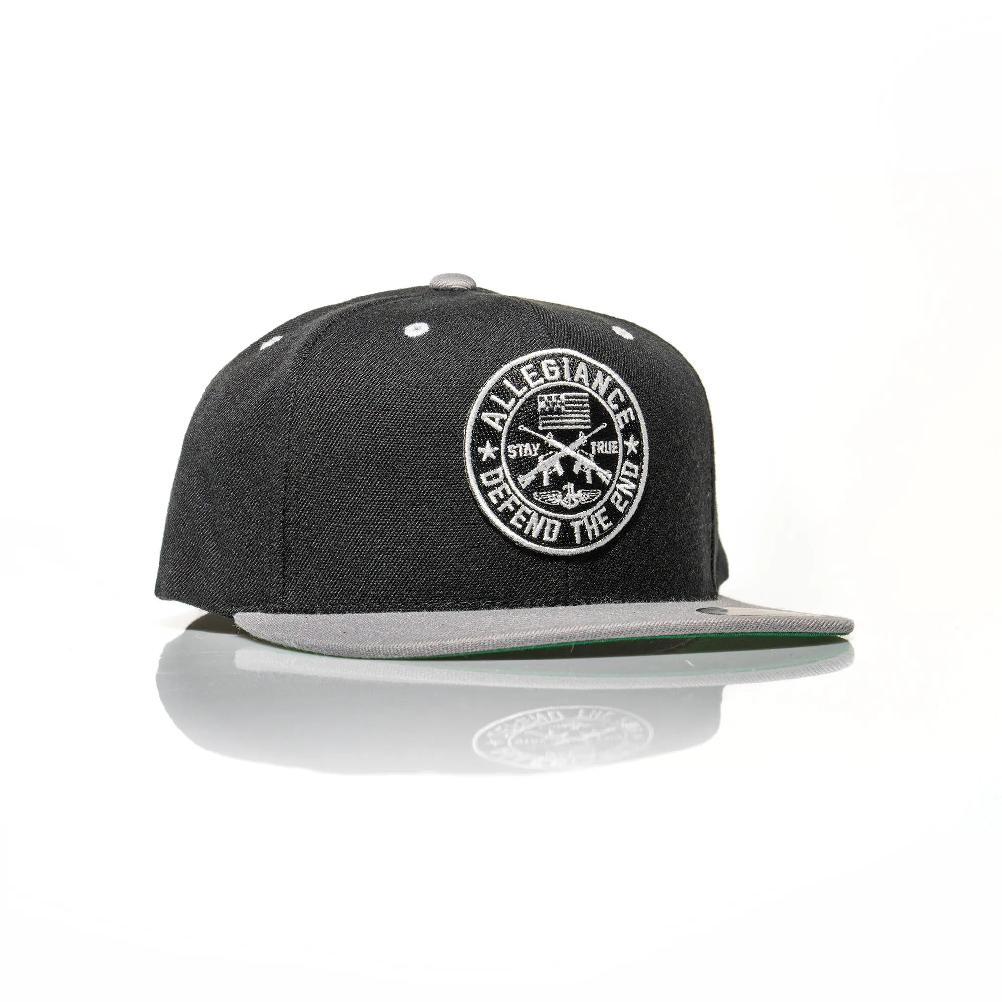 Defend the 2nd Snapback