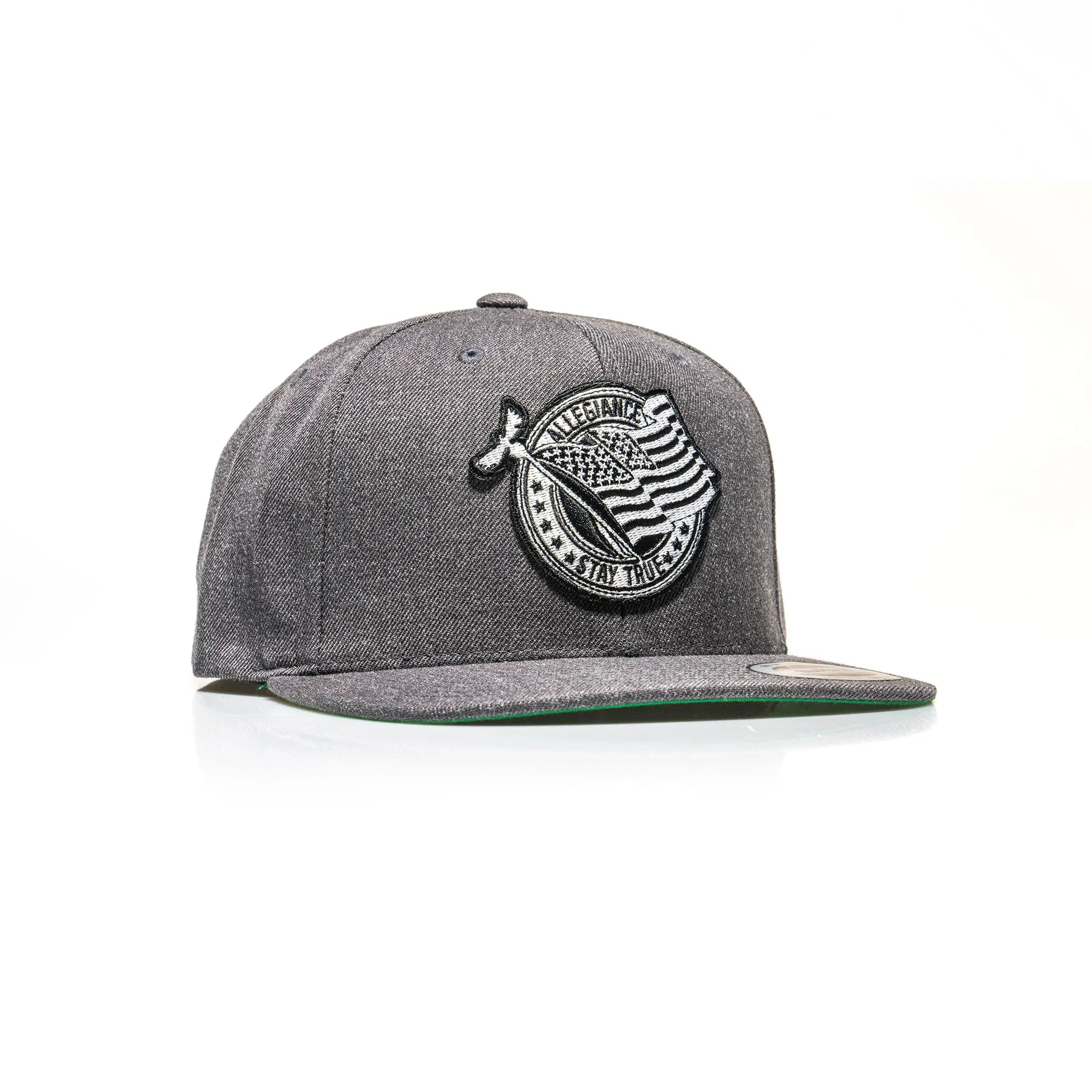 Pledge Snapback