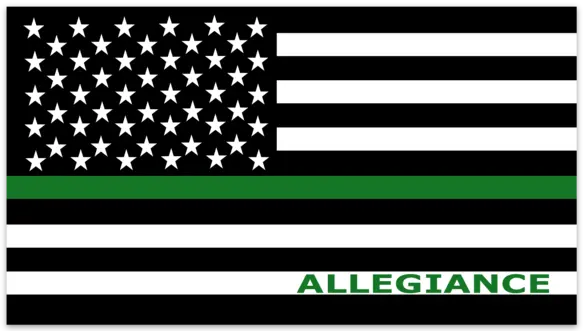 Green Line Sticker